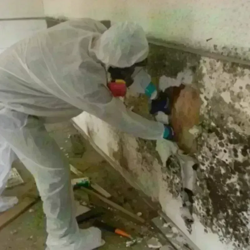 Mold Remediation and Removal in Geneva-on-the-Lake, OH