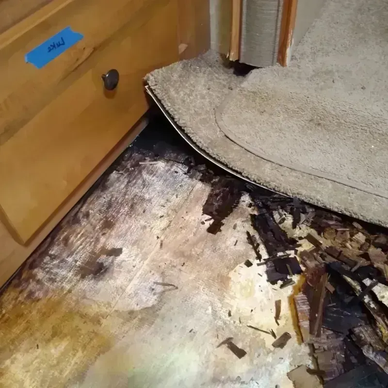 Best Wood Floor Water Damage Service in Geneva-on-the-Lake, OH